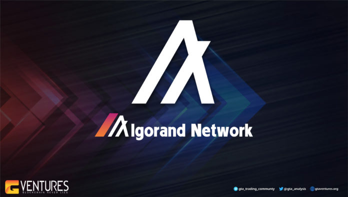 algorand network