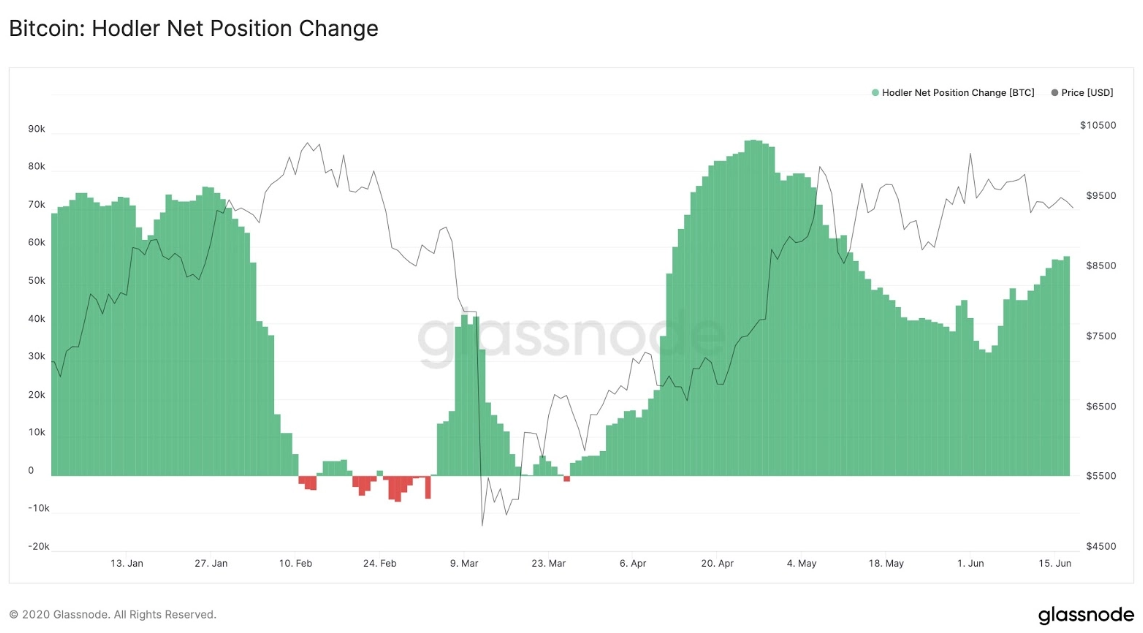 Biểu đồ thay đổi vị trí ròng của hodler Bitcoin từ đầu năm đến nay 