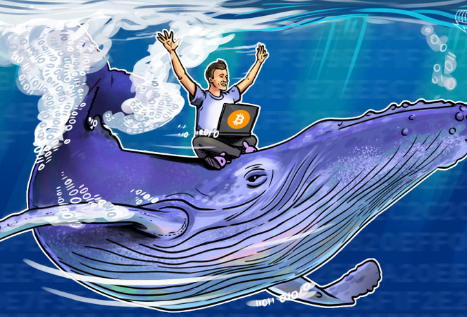 Giá Bitcoin giảm còn $8900 do cá voi xả hàng