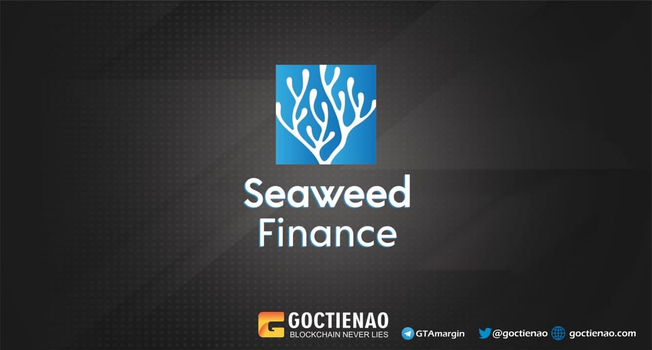 seaweed-finance.jpg