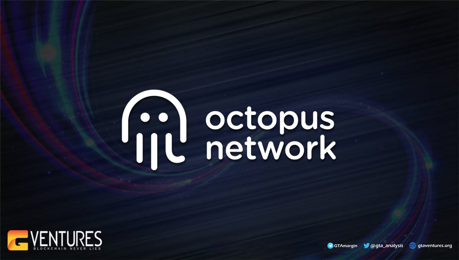 octopus network