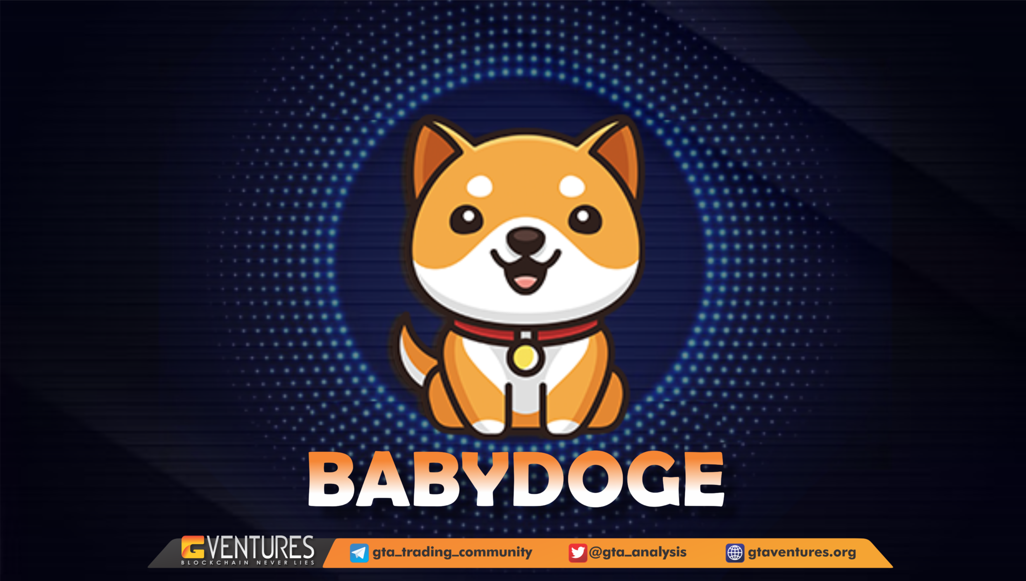 Baby Doge Coin Gi Baby Doge Coin T ng V t Sau Tweet C a Elon Musk