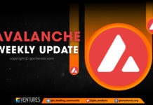 Avalanche Update | Dấu hiệu cho sự khởi đầu của subnet