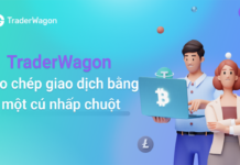 TraderWagon là gì? Nền tảng copy trade phổ biến nhất thế giới