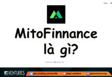 Mito Finance là gì? Giao thức RWA thay đổi hệ sinh thái Injective