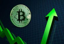 Chu kỳ tăng giá của Bitcoin vẫn chưa dừng lại